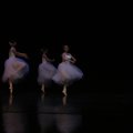 ballet002