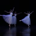 ballet027