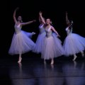 ballet029